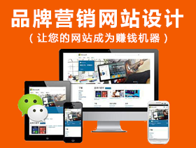 網(wǎng)站建設(shè)項目